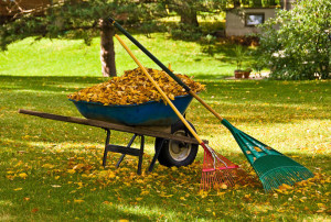 Landscape Clean Up Services
